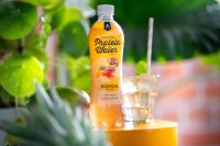 Multipower Sparkling Protein Water White Peach 12&times;500 ml | zuckerfrei | Whey &amp; EAA | MHD 28.02.2025 &uuml;berschritten